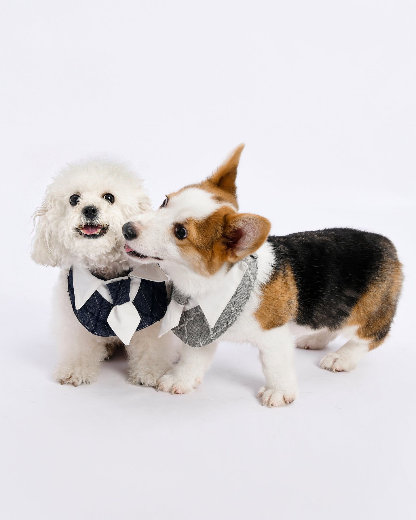 Chic Executive