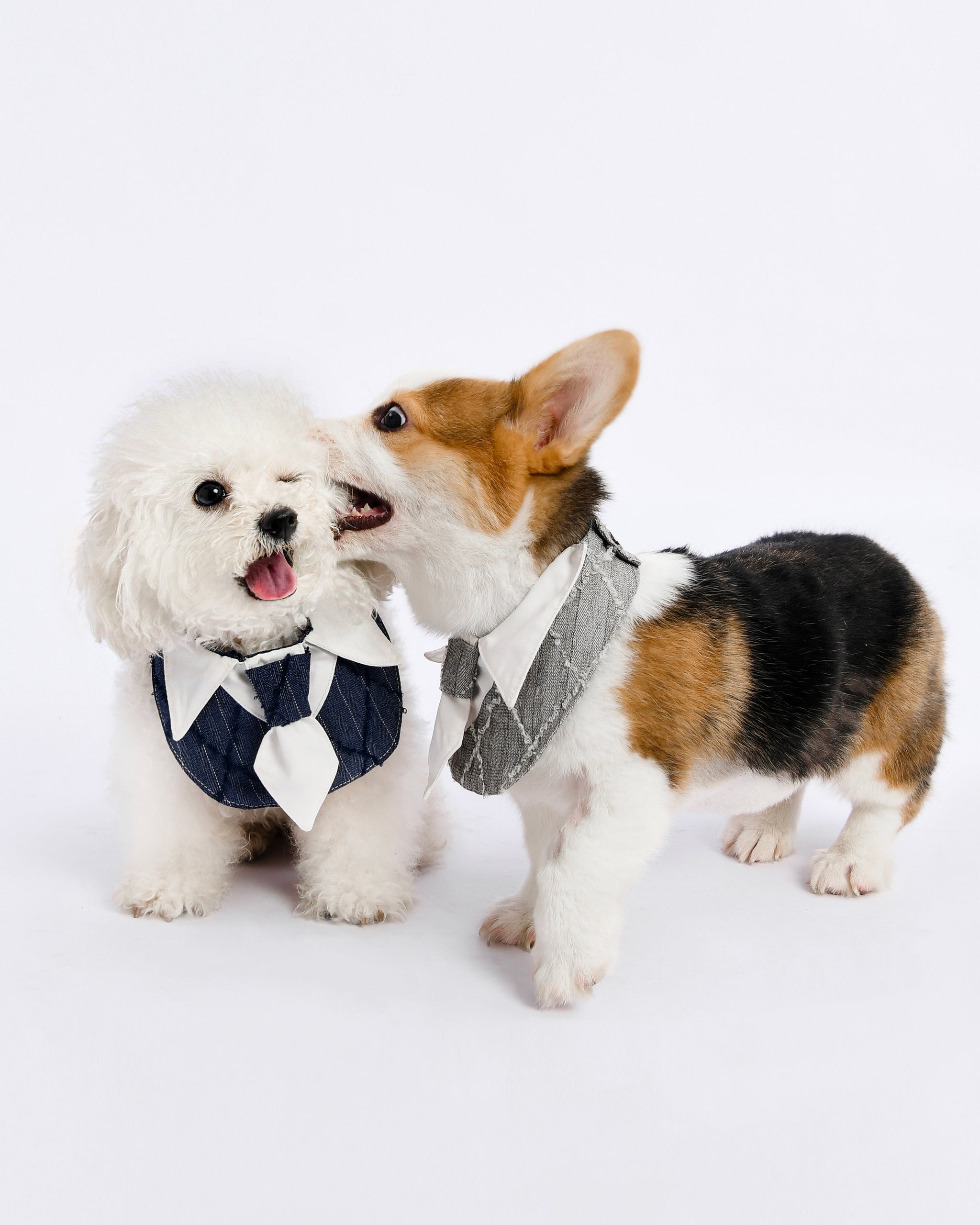 Chic Executive